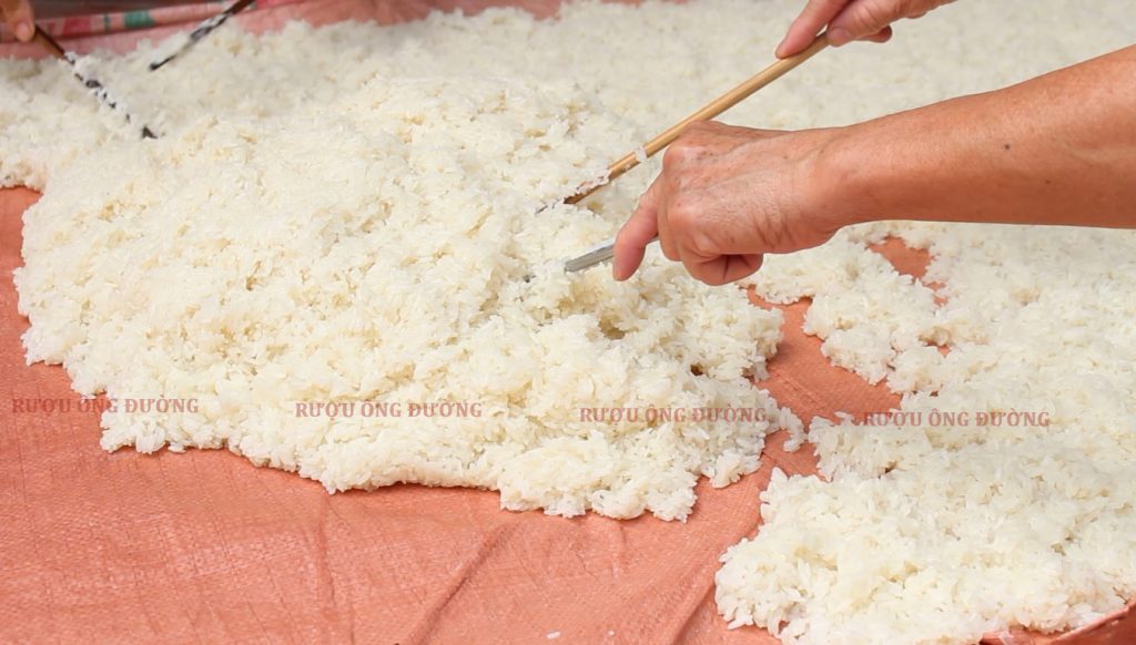 Nguyên liệu là những hạt gạo nếp trắng ngần vùng đồng bằng Bắc Bộ